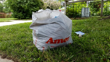 Ames bag on the side of the road [02]