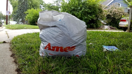 Ames bag on the side of the road [01]