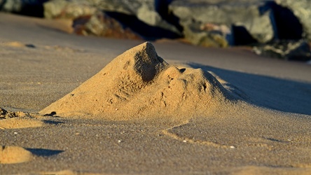 Mound of sand on the beach [01]