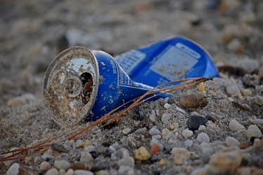 Discarded Pepsi can [03]