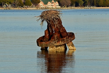 Mooring dolphin with osprey nest [01]