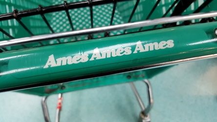 Former Ames shopping cart [05]