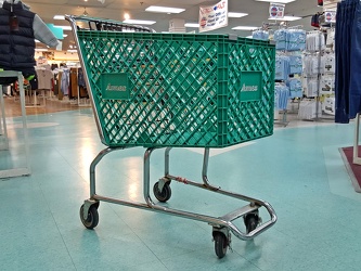 Former Ames shopping cart [02]