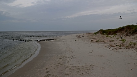 Beach near Ocracoke ferry terminal [06]