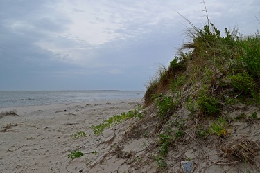 Beach near Ocracoke ferry terminal [02]