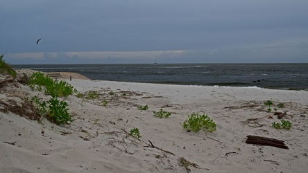 Beach near Ocracoke ferry terminal [01]