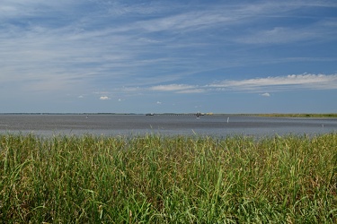 Currituck Sound [01]