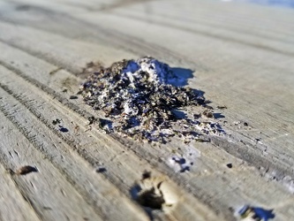 Bird droppings on fishing pier