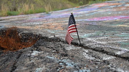 Flag in a crack in the pavement [02]