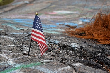 Flag in a crack in the pavement [01]