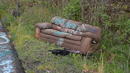 Abandoned couch on the roadside [02]