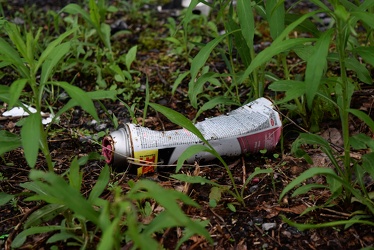 Discarded spray paint can [18]