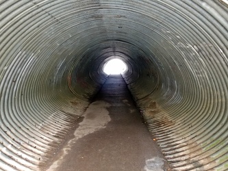 Montgomery Village tunnel #11