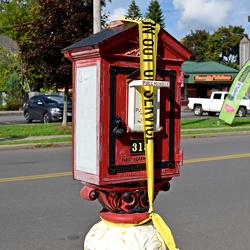 Decommissioned Gamewell fire alarm box [01]