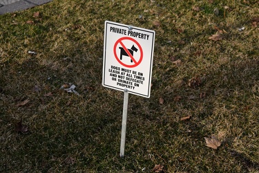 "No Dogs" sign