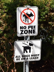 "NO PEE ZONE" sign