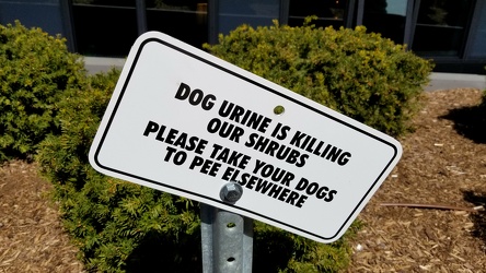 "Dog urine is killing our shrubs" sign