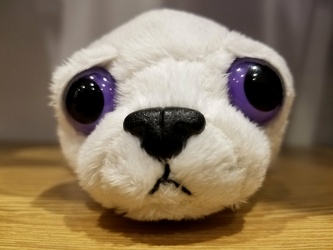 Stuffed seal at Miniso