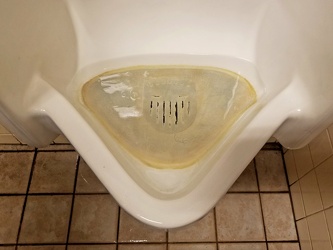 Urinal at Hudson's Bay in Pickering