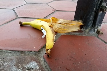 Banana peel at East Falls Church station