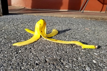 Banana peel on ground