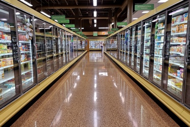 Frozen food aisle at Publix in Glen Allen, Virginia