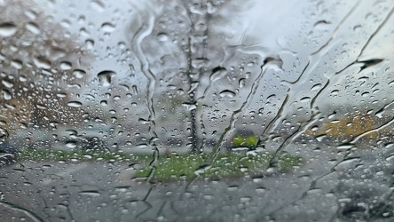 Rain on the windshield