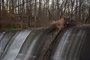 Burnt Mills Dam [03]