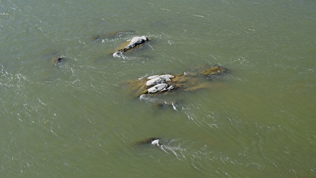 Rocks in the Potomac River [03]