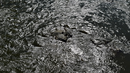 Rocks in the Potomac River [04]