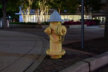 Fire hydrant in Clarendon