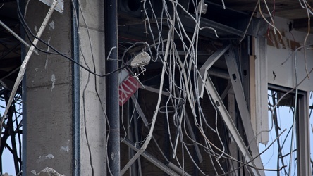 Demolition of Spring Mall Building [04]