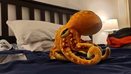 Woomy on the bed [02]