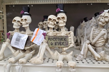 Skeletons "Together 4 Ever"