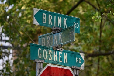 Brink and Goshen Roads [09]