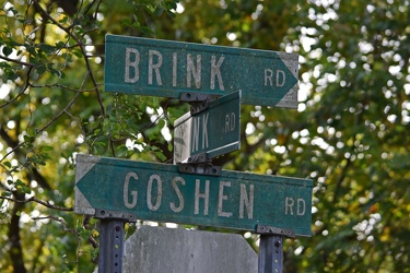 Brink and Goshen Roads [07]