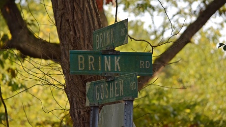 Brink and Goshen Roads [08]