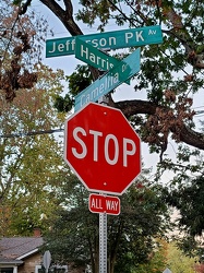 Intersection of Jefferson Park Avenue, Harris Road, and Camellia Drive