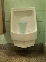 Sloan waterless urinal