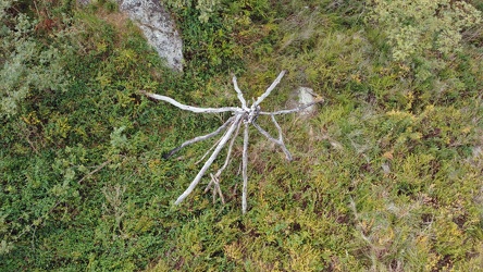 Remains of a teepee near Rockfish Gap [04]