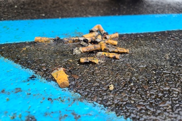 Pile of discarded cigarette butts