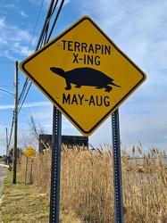 Terrapin crossing sign