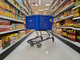 Former Toys "R" Us cart at Food Star [01]