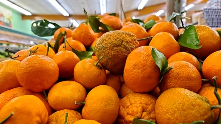 Oranges at New Grand Mart