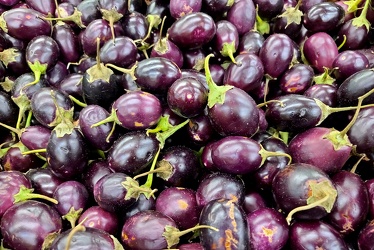 Mini eggplants at New Grand Mart