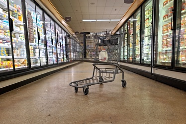 Cart in frozen food aisle at Giant Food [02]