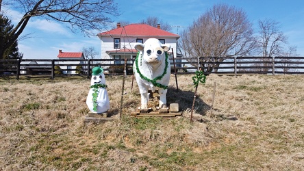 Bull statue decorated for St. Patrick's Day [01]