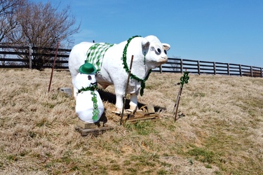 Bull statue decorated for St. Patrick's Day [02]