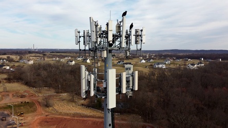 Cell tower in Lucketts, Virginia [01]