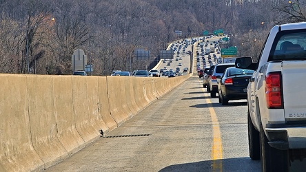 Rubbernecking on the Capital Beltway